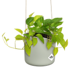 b.for swing 18cm steingrün